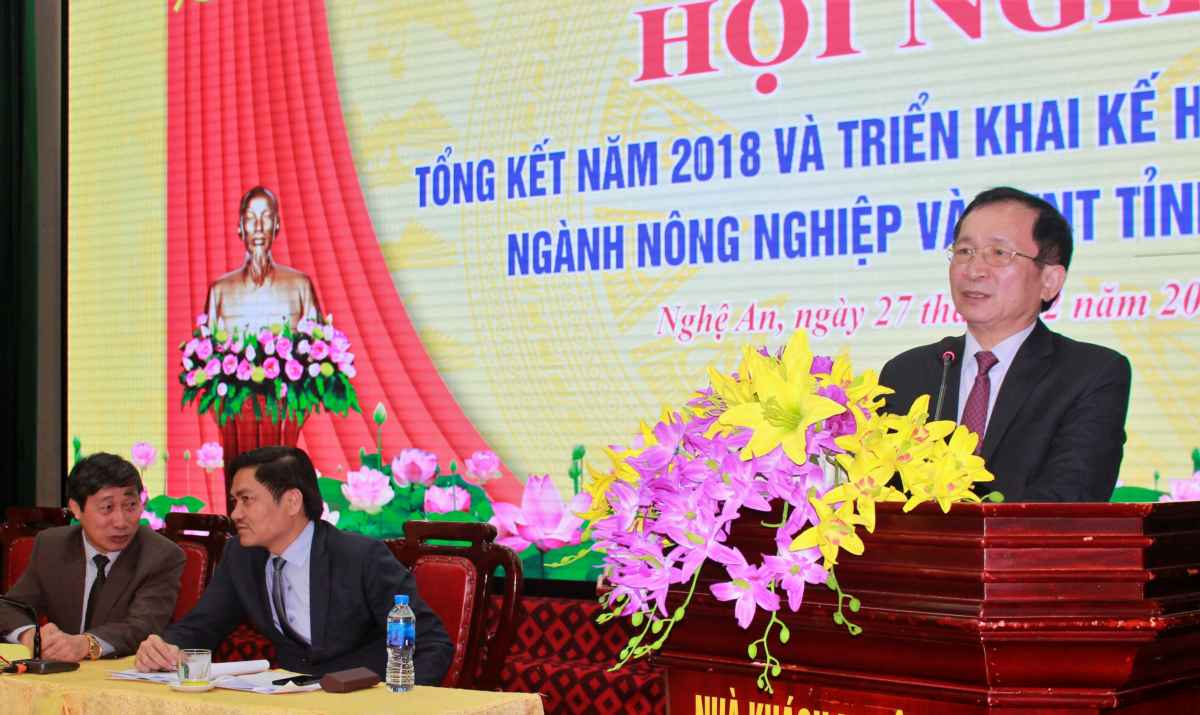 Đồng chí Đinh Viết Hồng, Phó Chủ tịch UBND tỉnh phát biểu chỉ đạo 