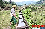 Quá lãng phí dự án mương dẫn nước!