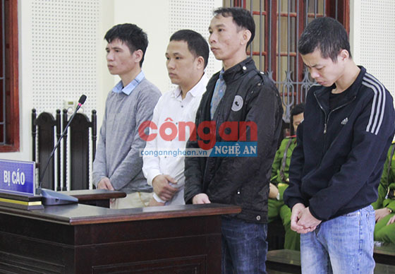Các bị cáo Đỗ Quang Thành, Mai Đình Phước, Nguyễn Quang Bích và Trần Duy Tưởng