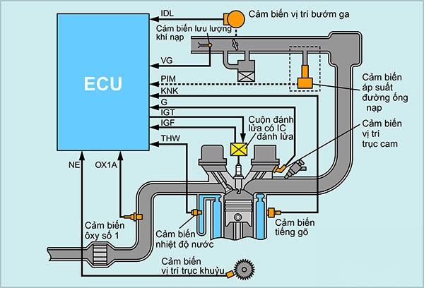 Hệ thống đánh lửa điện tử ESA gồm có các cảm biến khác nhau, ECU động cơ, các IC đánh lửa, cuộn dây đánh lửa và các bugi.