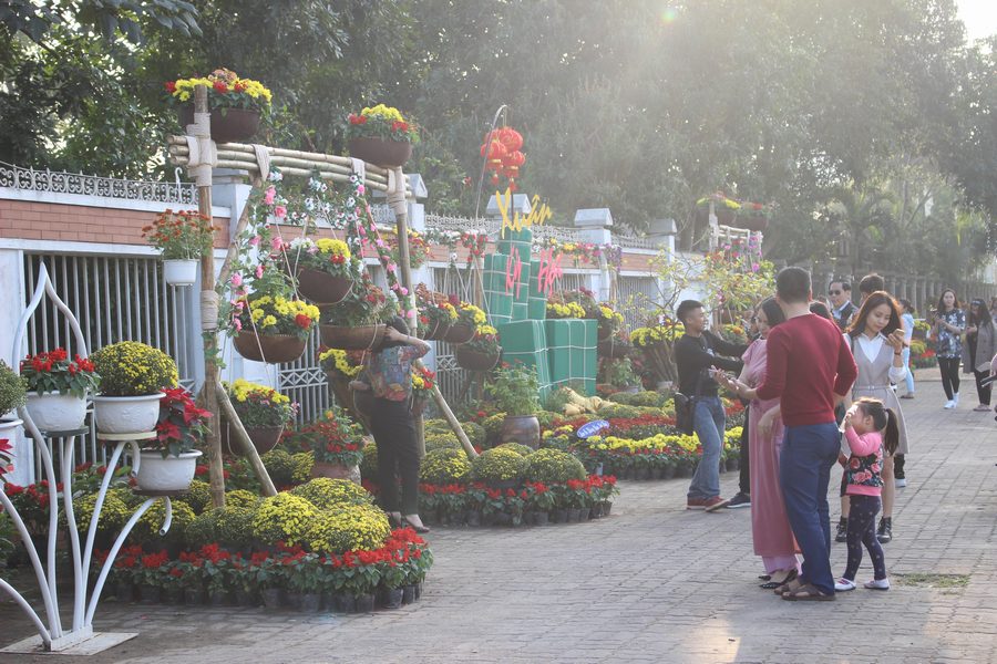 Rất đông người dân thành phố Vinh tập trung chụp ảnh ở các tuyến đường hoa