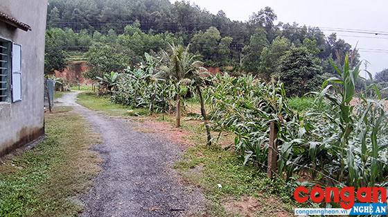 Phần diện tích đất UBND xã Nam Thái không cấp cho gia đình ông Hải