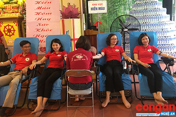 Lãnh đạo, cán bộ Hội Chữ thập đỏ tỉnh Nghệ An trực tiếp hiến máu