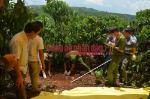 Chấn động: Ba bà cháu bị sát hại chôn xác phi tang