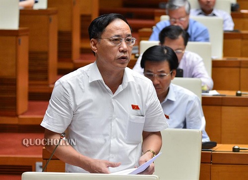 Đại biểu Nguyễn Mai Bộ - Đoàn ĐBQH tỉnh An Giang, phát biểu ý kiến
