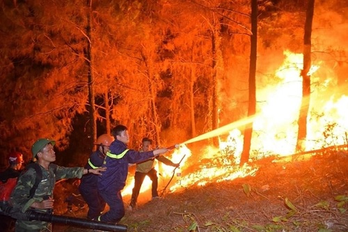Lực lượng chức năng chiến đấu với đám cháy rừng.