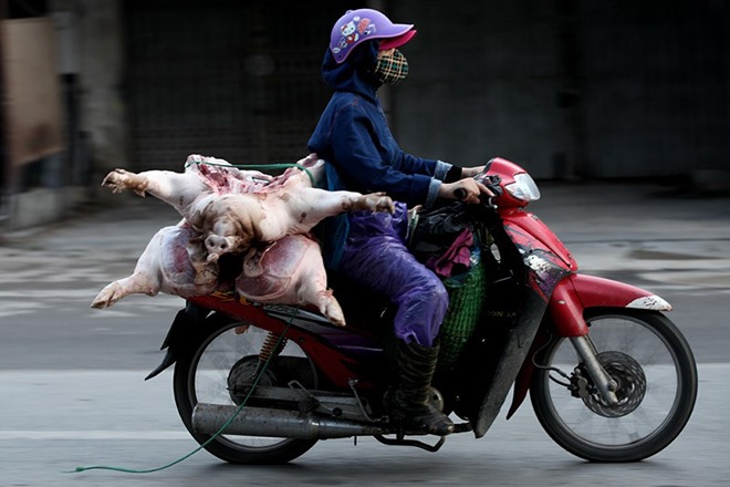Vận chuyển thịt lợn không đảm bảo vệ sinh trên đường phố Hà Nội.