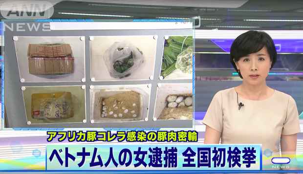 Những thực phẩm được phát hiện trong hành lý của du học sinh Việt Nam. Ảnh minh họa/ Asahi