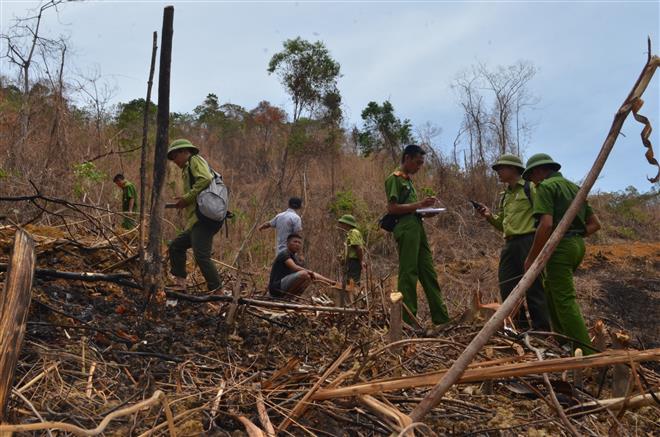 Lực lượng chức năng tổ chức khám nghiệm hiện trường 1 vụ khai thác rừng                                   trên địa bàn huyện Thanh Chương
