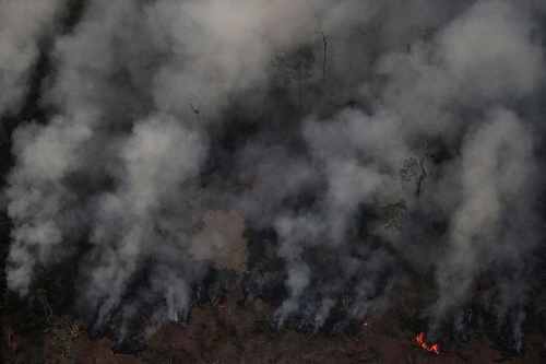 Cảnh tượng cháy rừng ở khu vực Porto Velho, bang Rondonia tại Brazil hôm 21/8. (Ảnh: Reuters)