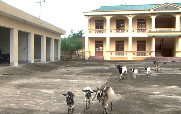 Phòng khám Đa khoa khu vực Huồi Tụ trở thành địa điểm nuôi gà, chăn dê