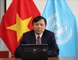 Việt Nam chủ trì họp Nhóm công tác của HĐBA về các tòa án quốc tế