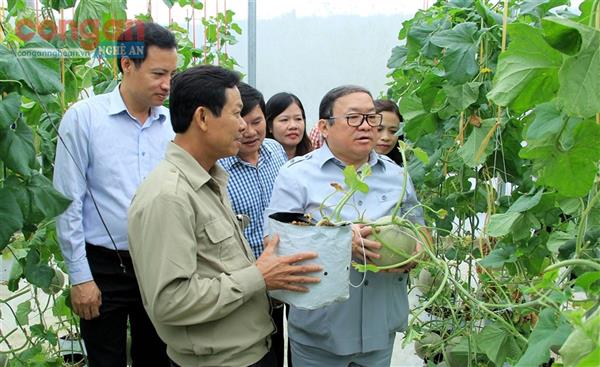 Xã Xuân Mỹ, huyện Nghi Xuân, tỉnh Hà Tĩnh: Khơi dậy tiềm năng, phát triển bền vững