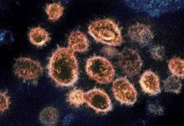 Đã có kết quả nguồn gốc virus gây Covid-19 ở Hải Dương