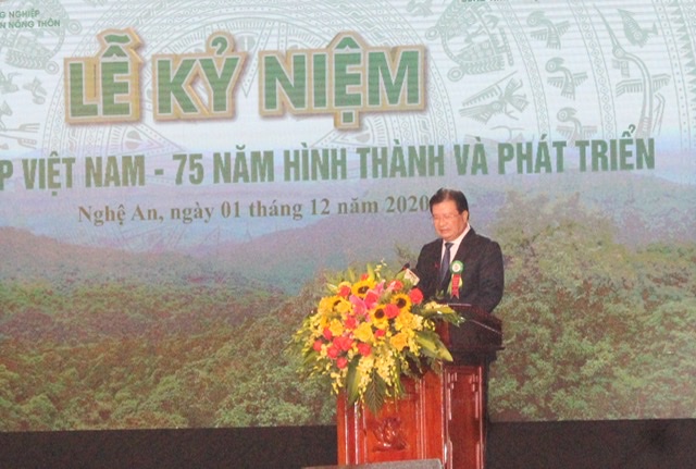 Phó Thủ tướng Chính phủ Trịnh Đình Dũng phát biểu tại Lễ kỷ niệm 