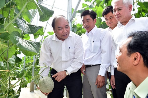 Thủ tướng Chính phủ Nguyễn Xuân Phúc thăm Trung tâm Nông nghiệp công nghệ cao Bình Phước, ngày 2/1/2017. - Ảnh: VGP/Quang Hiếu