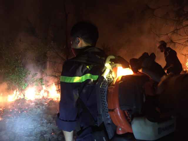 Nhanh chóng chữa cháy rừng thông tại thị xã Hoàng Mai