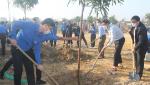 Đoàn viên thanh niên tham gia Tết trồng cây 'Đời đời nhớ ơn Bác Hồ'