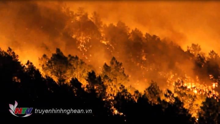 Cháy rừng ở xã Diễn An, Diễn Châu năm 2020. (Tư liệu)