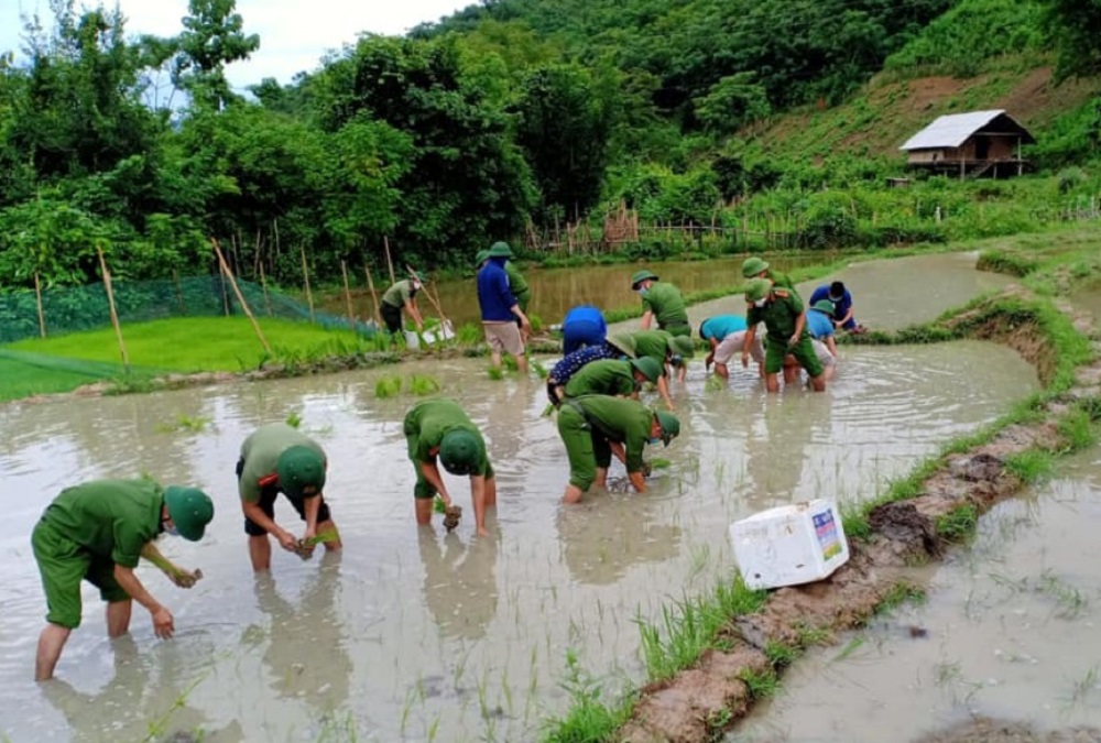 Cán bộ, chiến sỹ Công an huyện Tương Dương giúp bà con nhân dân cấy lúa