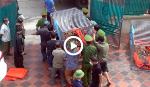 Phát hiện 17 cá thể hổ nuôi nhốt trái phép
