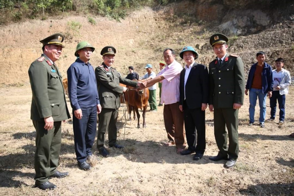 Trao bò giống sinh sản tặng người dân tại huyện Kỳ Sơn