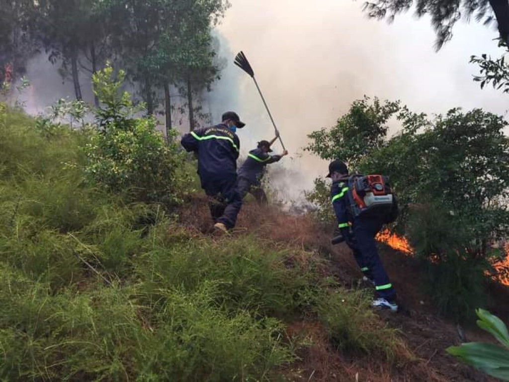 Các lực lượng phối hợp với nhau vừa chữa cháy rừng,  vừa làm đường băng cản lửa để ngăn chặn cháy lan, cháy lớn