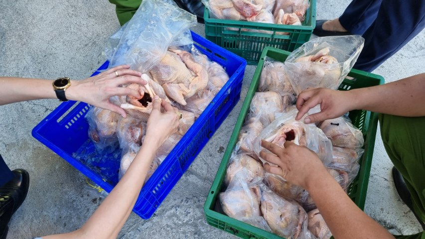 Hơn 10 tấn thịt gà đông lạnh không rõ nguồn gốc