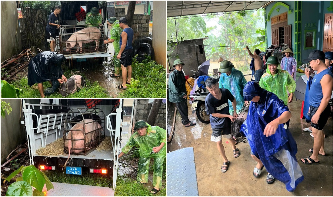 Giúp người dân di chuyển tài sản đến nơi an toàn 