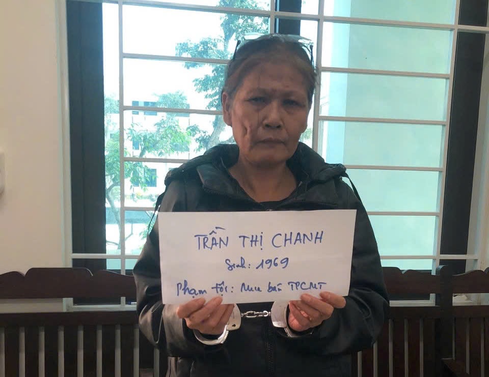 Đối tượng Trần Thị Chanh