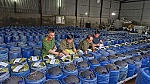 Công an Nghệ An triệt xóa đường dây, khởi tố và bắt tạm giam 4 đối tượng sản xuất 3.500 tấn giá đỗ ngâm hóa chất
