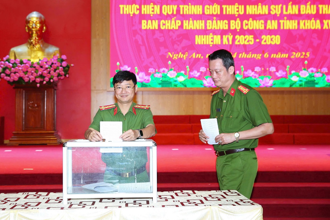 Các đại biểu bỏ phiếu