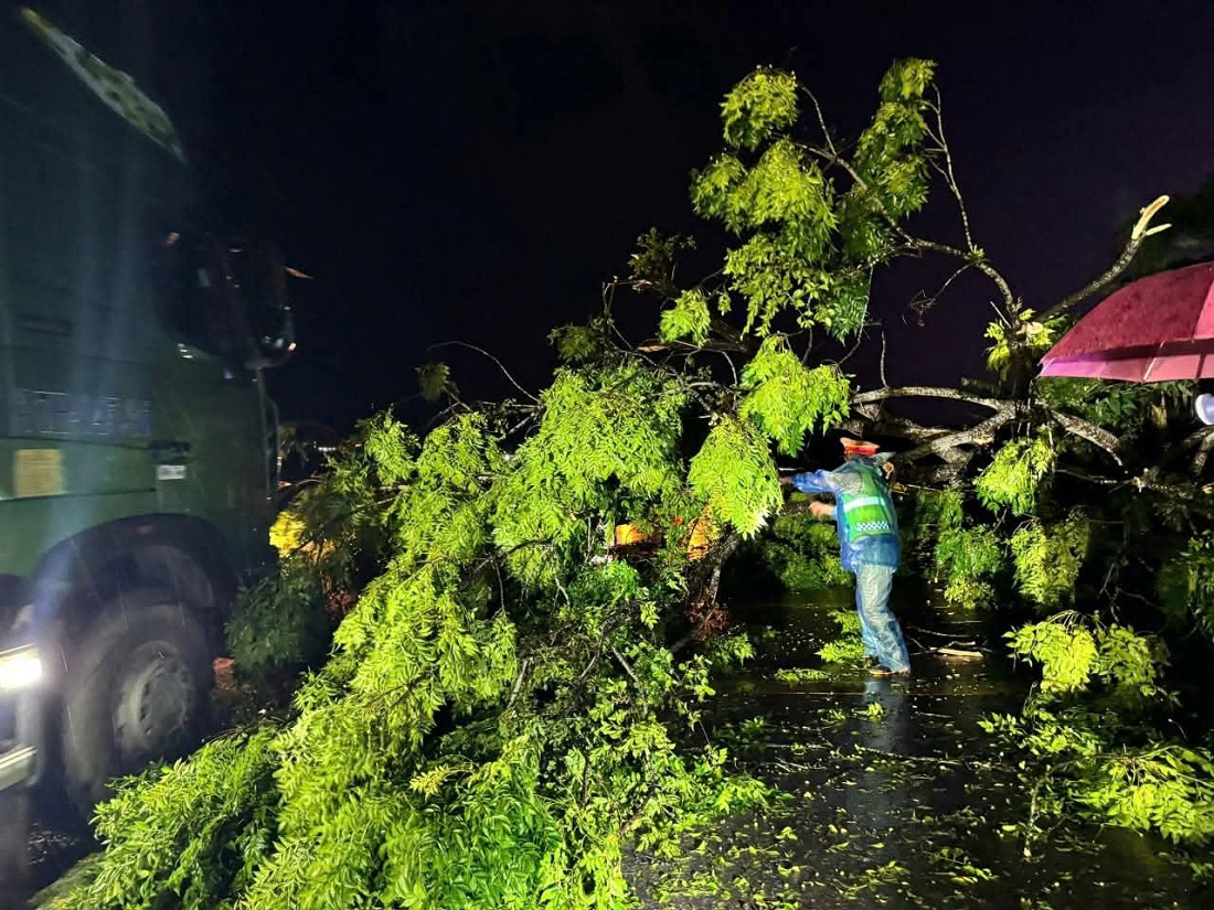 Công an các xã Thần Lĩnh, Quỳ Châu, Trung Lộc và Đội CSGT số 2 thuộc Phòng CSGT dọn dẹp cây cối gãy đổ, đảm bảo an toàn cho người và phương tiện lưu thông