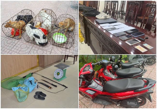 Tang vật chuyên án thu giữ