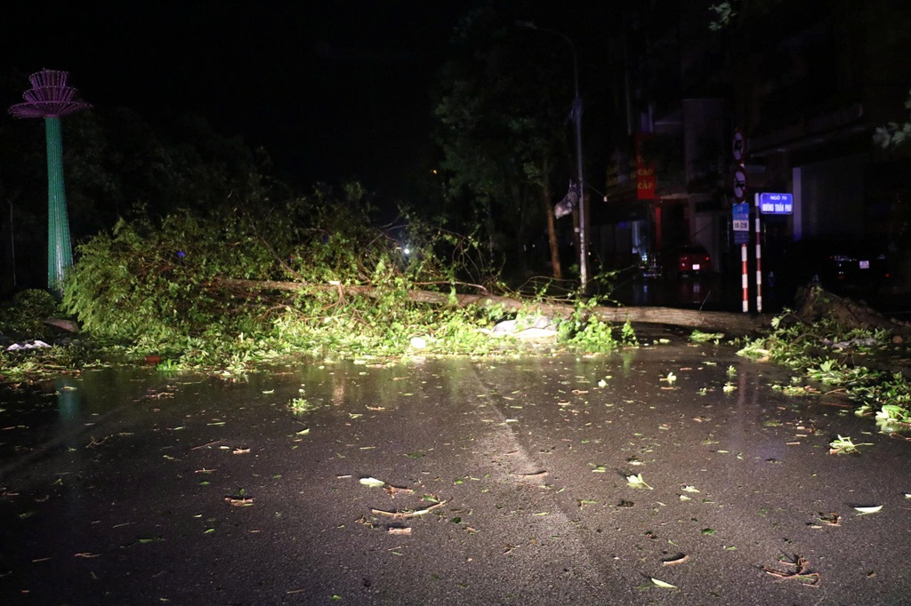 Hiện trường cây đổ chắn ngay lối đi