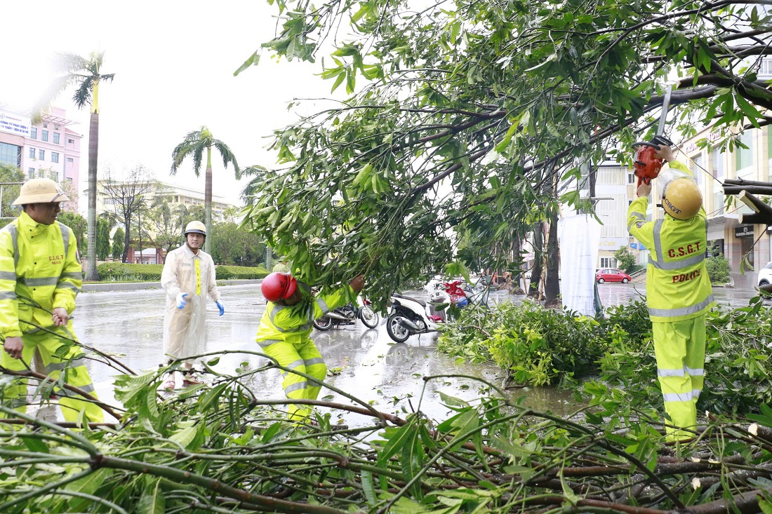 Sử dụng các dụng cụ cưa, máy cắt, dụng cụ chuyên dụng cắt, tỉa cây bị đổ, thông tuyến, đảm bảo an toàn cho người dân đi lại