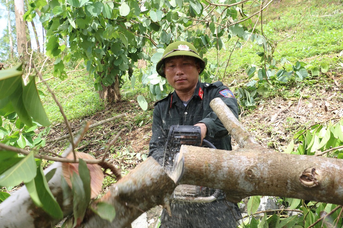 Gần 100 cán bộ, chiến sĩ đã không quản ngại khó khăn để thu dọn cây gãy, đổ tạo cảnh quan xanh, sạch, đẹp