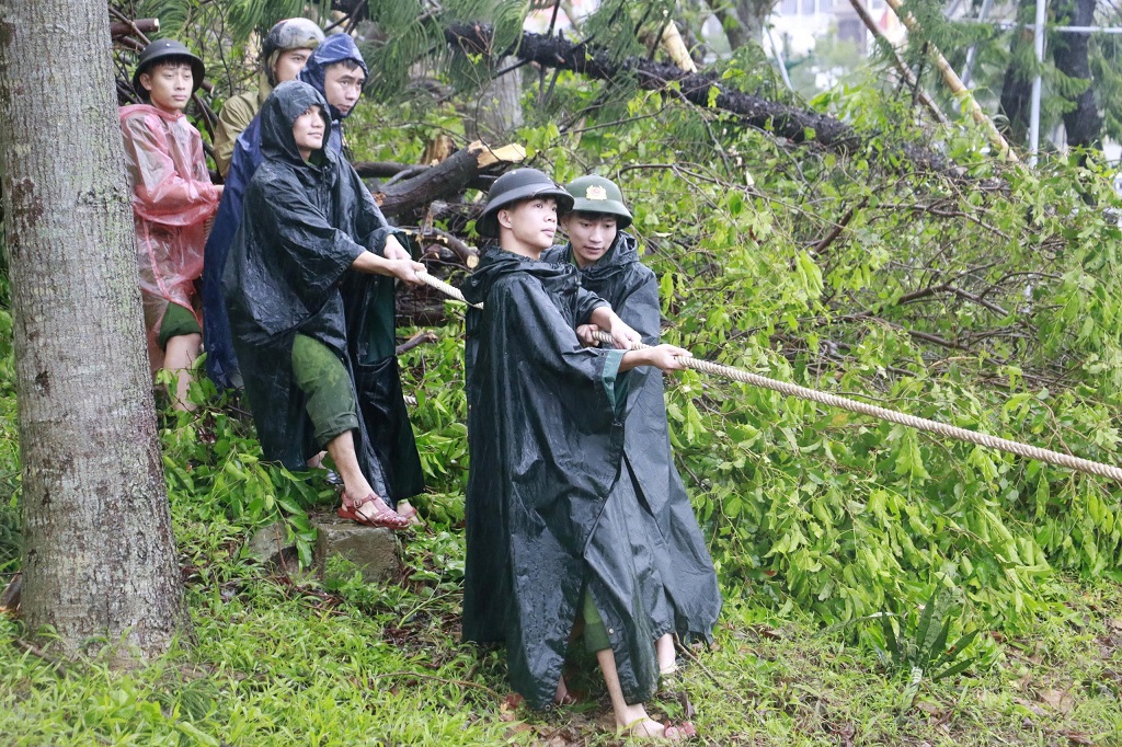Đoàn viên, thanh niên Công an Nghệ An hỗ trợ dựng lại cây xanh tại Quảng trường Hồ Chí Minh sau bão số 10