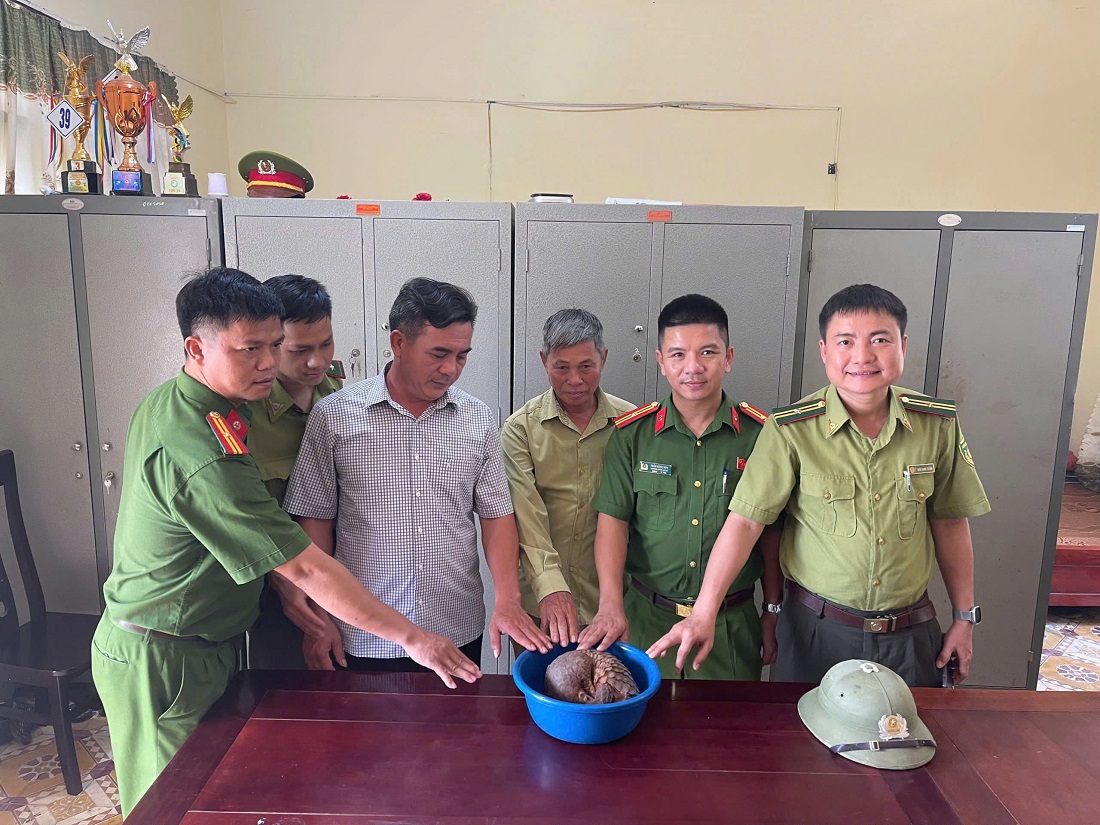 Cá thể tê tê được Công an xã Tân Phú bàn giao các cơ quan chức năng thả vào rừng theo đúng quy định