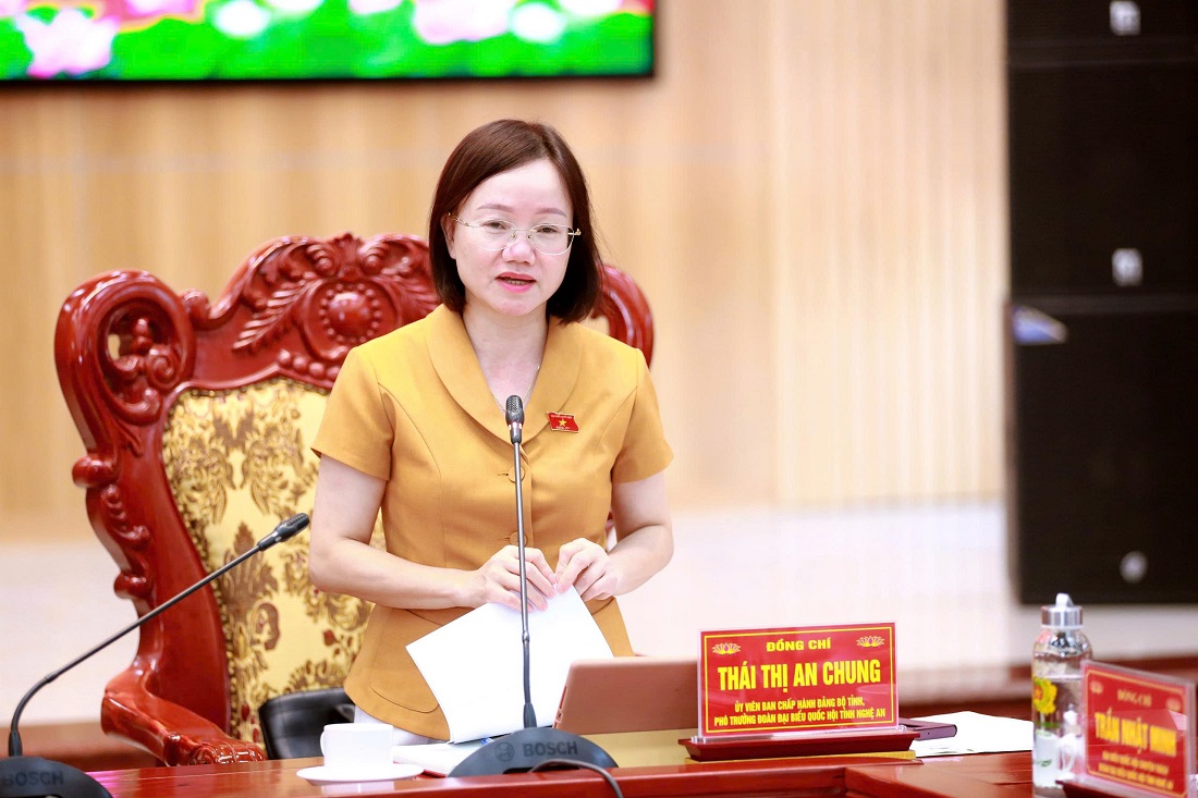 Đồng chí Thái Thị An Chung - Ủy viên Ban Chấp hành Đảng bộ tỉnh, Phó trưởng đoàn chuyên trách Đoàn đại biểu Quốc hội tỉnh kết luận tại cuộc giám sát