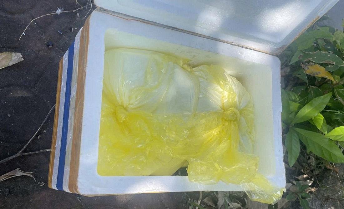 Số ma túy được nguỵ trang ở các hộp sữa đựng trong thùng xốp