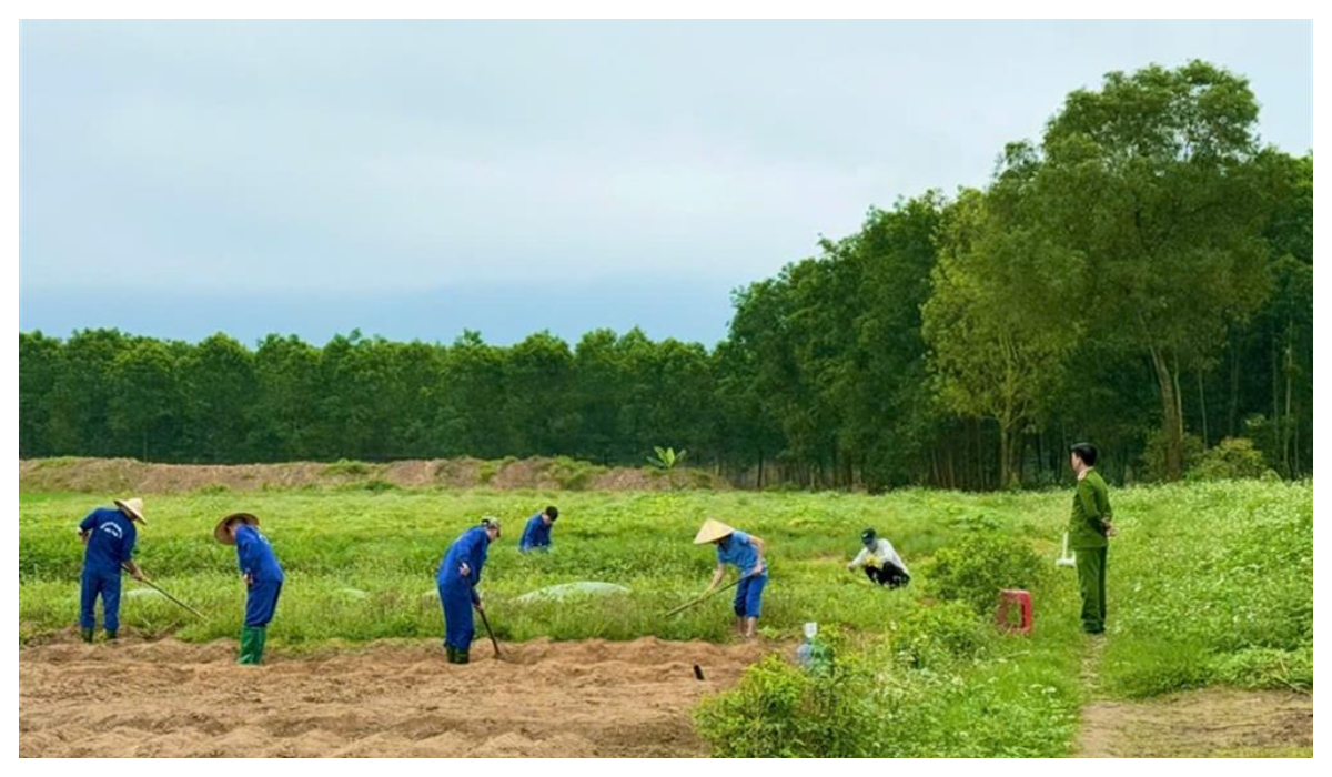 Công bố danh mục thủ tục hành chính mới trong lĩnh vực tổ chức cai nghiện ma túy và quản lý sau cai nghiện ma túy