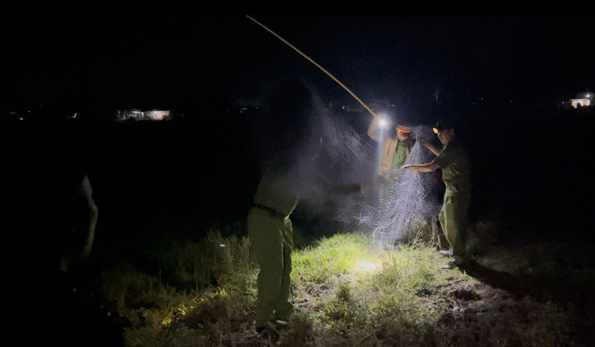 Đẩy mạnh tuyên truyền, xử lý vi phạm săn bắt chim trời