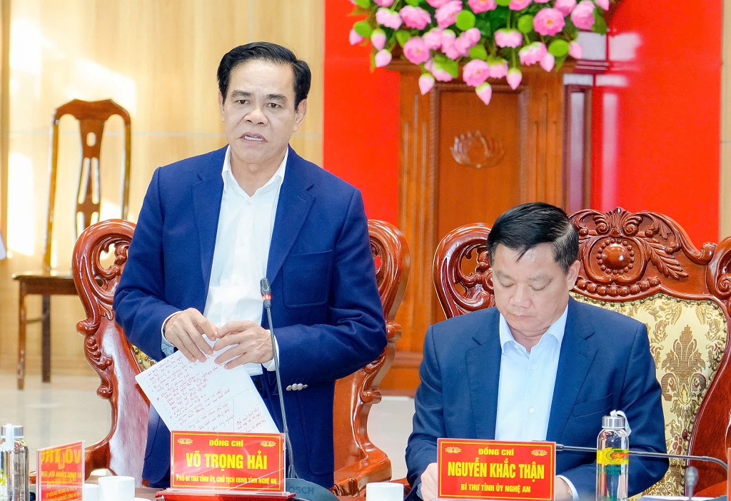 Đồng chí Võ Trọng Hải - Phó Bí thư Tỉnh ủy, Chủ tịch UBND tỉnh phát biểu