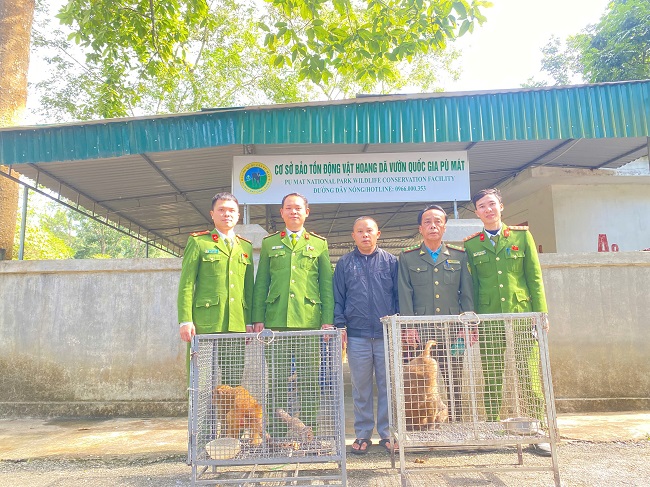 Giao nộp khỉ đuôi lợn quý hiếm trong buổi tuyên truyền bảo vệ động vật hoang dã