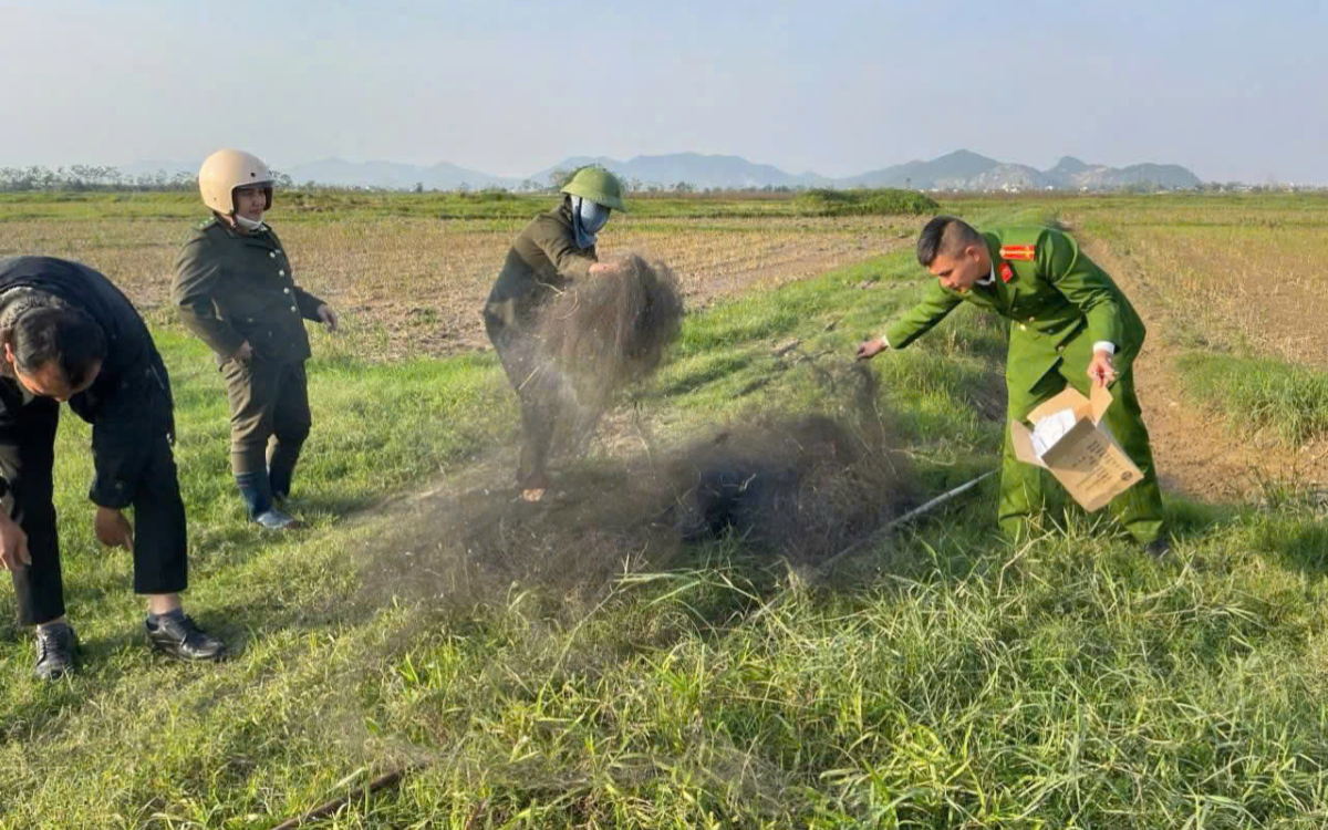 Công an xã Hưng Nguyên Nam xử lý nghiêm hành vi săn bắt, giăng bẫy chim trời, động vật hoang dã