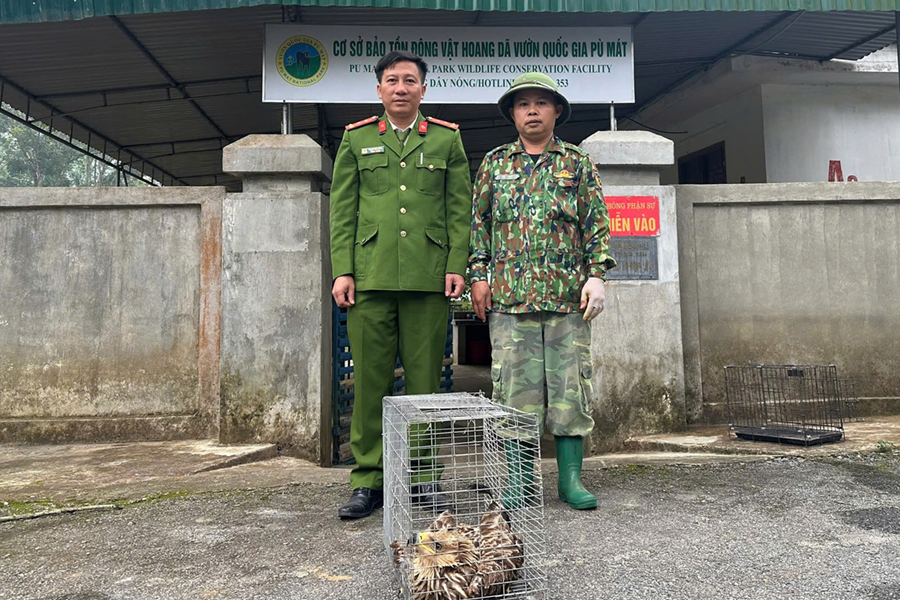 Vận động người dân tự nguyện giao nộp động vật hoang dã và dụng cụ bẫy chim