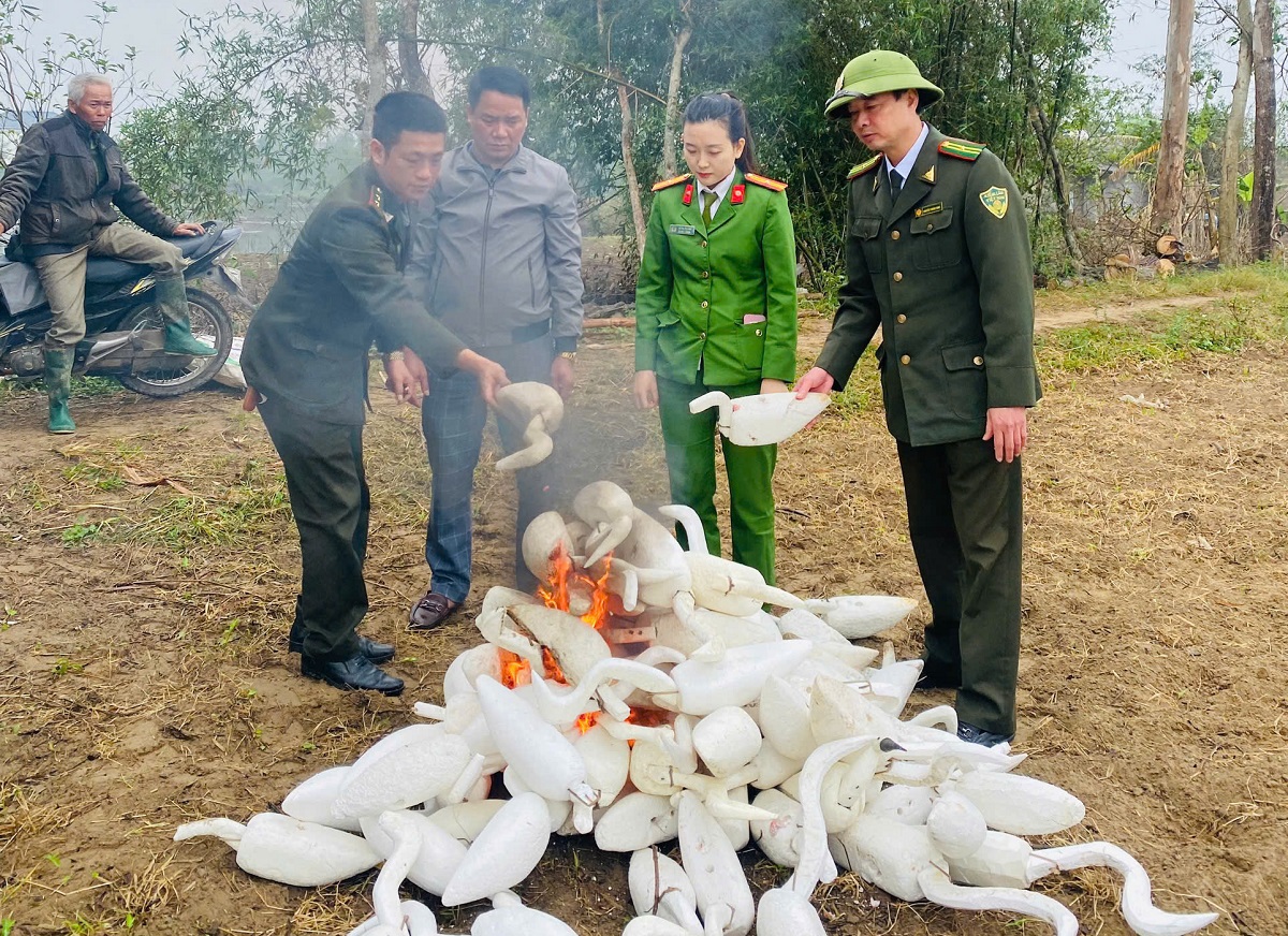 Tuyên truyền, đấu tranh, xử lý vi phạm pháp luật liên quan đến bảo vệ các loại động vật hoang dã