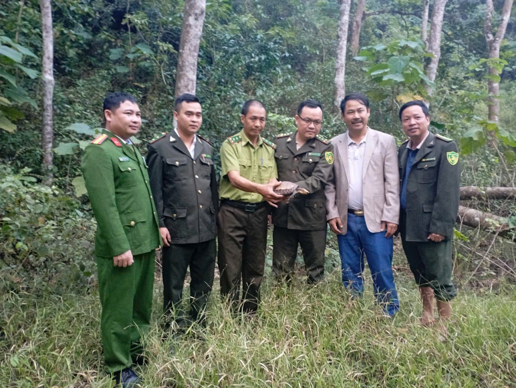 Người dân giao nộp con rùa quý hiếm cho Công an xã