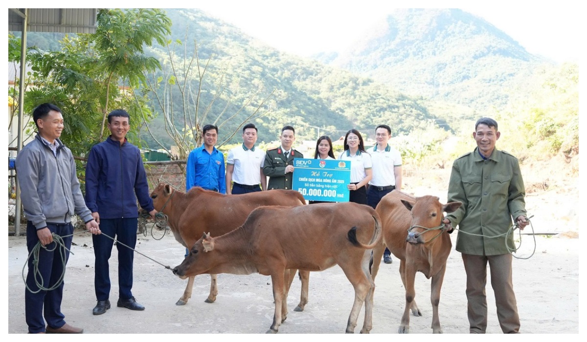Trao bò giống tặng hộ nghèo vùng núi phát triển sinh kế